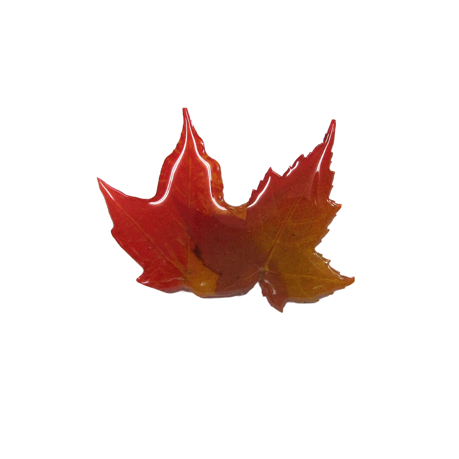 Maple Leaf Double Pin