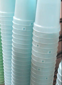 Used Plastic Sap Bucket