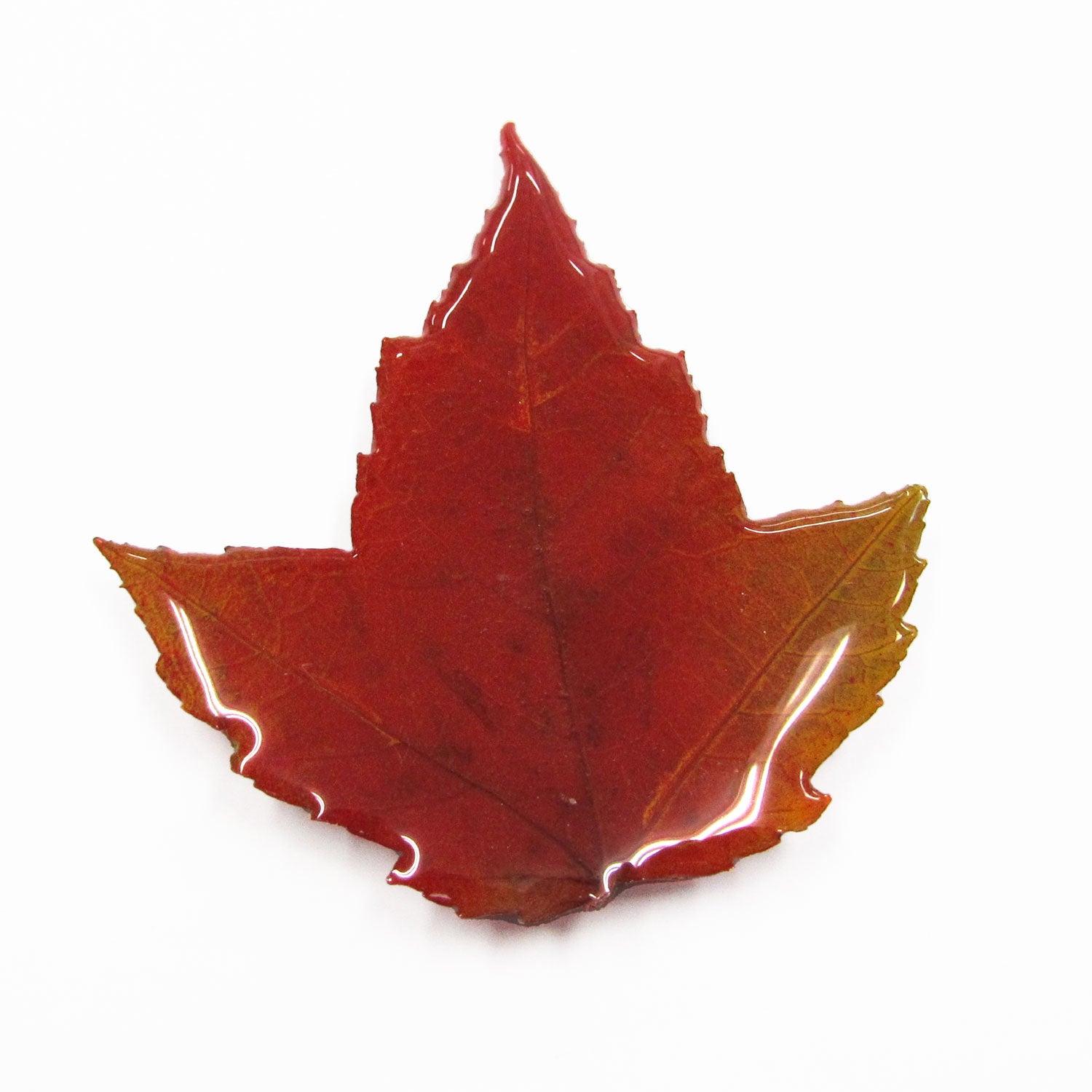 Maple Leaf Magnet
